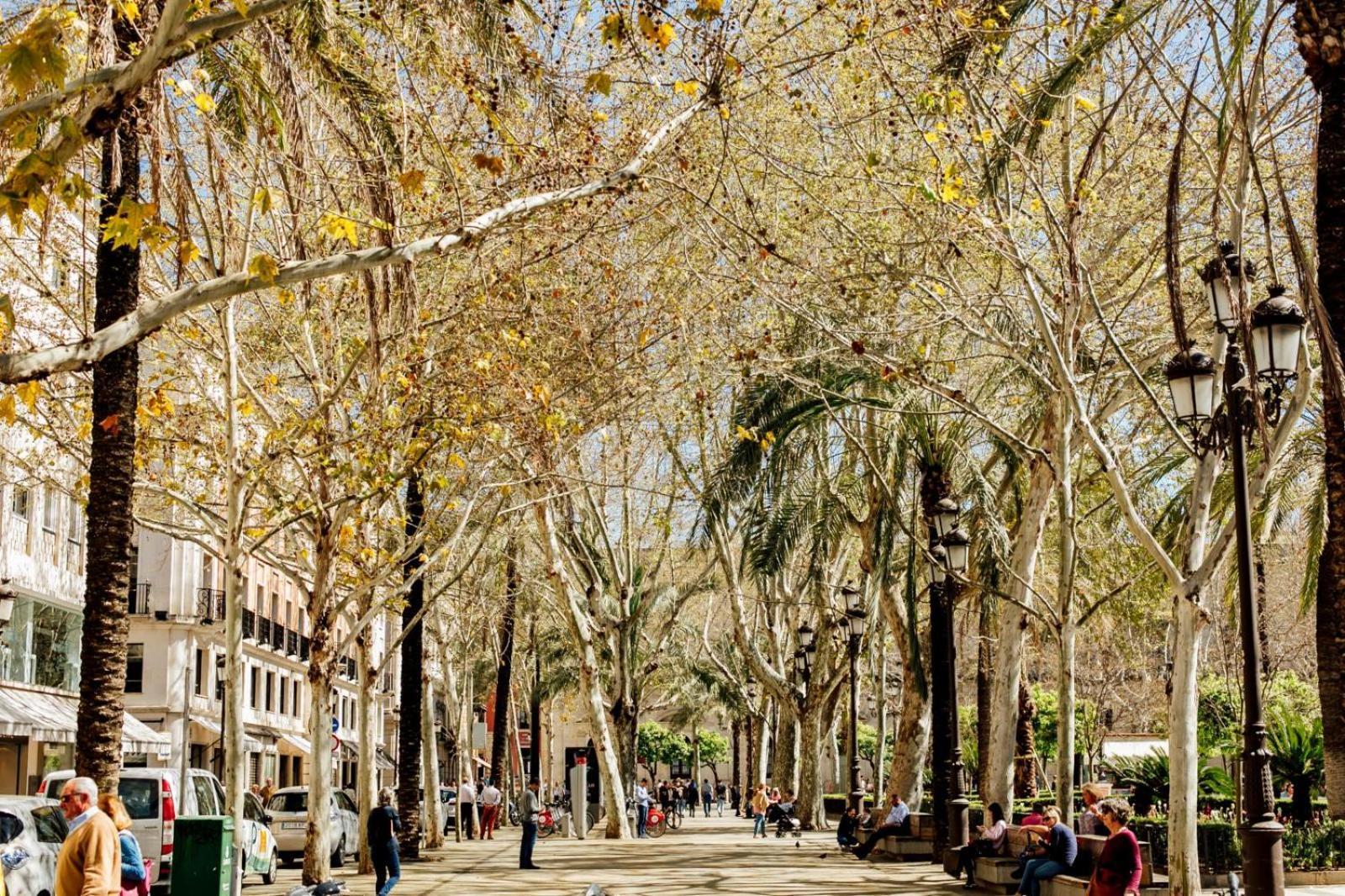 Plaza De La Magdalena I, Sevilla Centro Historico Esterno foto